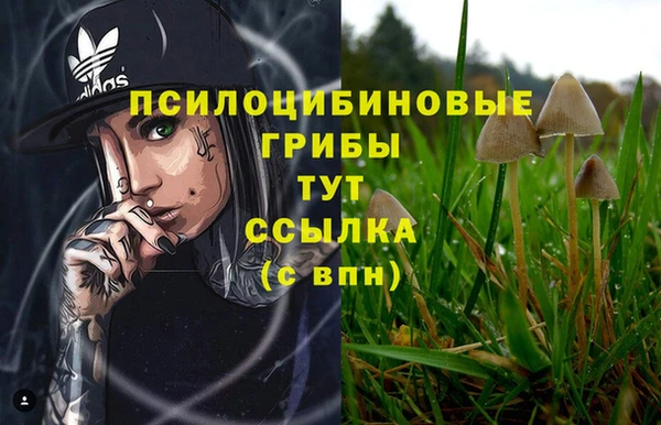 наркотики Беломорск
