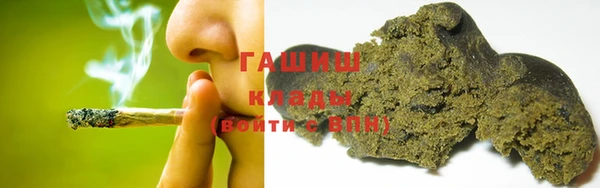 прущие грибы Балабаново