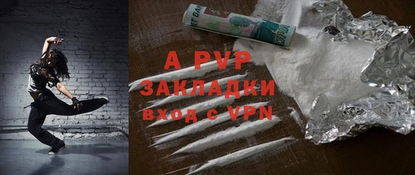 стаф Белокуриха