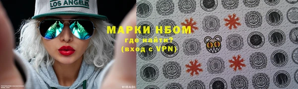 стаф Белокуриха
