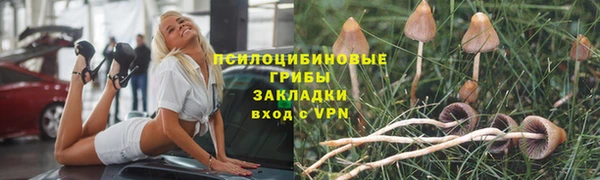стаф Белокуриха