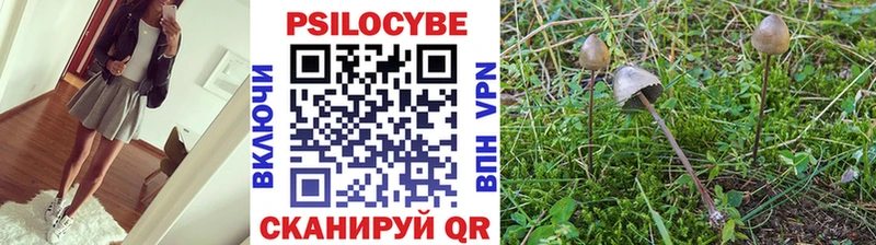 Псилоцибиновые грибы MAGIC MUSHROOMS  Бородино 
