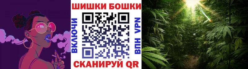 мега   Бородино  Конопля тримм 